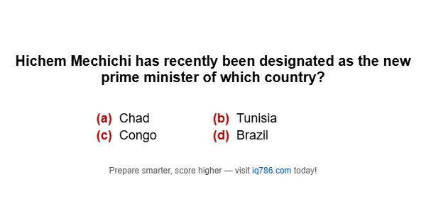 Hichem Mechichi has recently been designated as the new prime minister of which country?