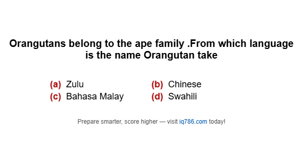 Orangutans belong to the ape family .From which language is the name Orangutan take