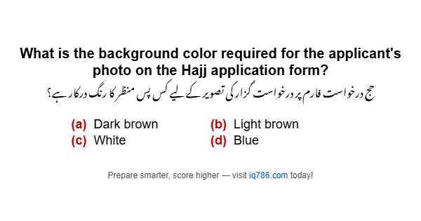 What is the background color required for the applicant's photo on the Hajj application form?