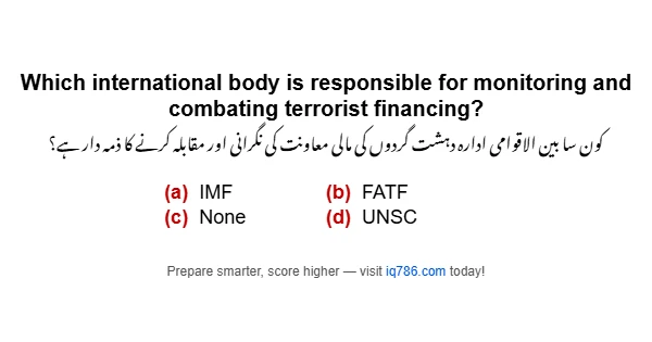 Which international body is responsible for monitoring and combating terrorist financing?