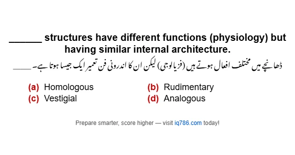______ structures have different functions (physiology) but having similar internal architecture.