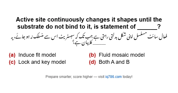 Active site continuously changes it shapes until the substrate do not bind to it, is statement of ______?