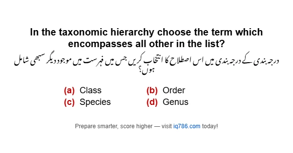 In the taxonomic hierarchy choose the term which encompasses all other in the list?