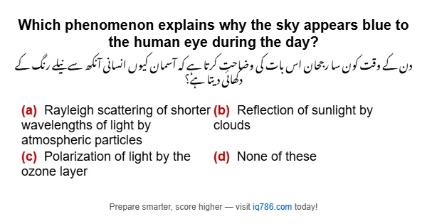 Which phenomenon explains why the sky appears blue to the human eye during the day?