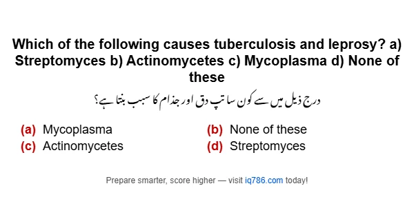 Which of the following causes tuberculosis and leprosy? a) Streptomyces b) Actinomycetes c) Mycoplasma d) None of these