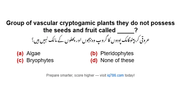 Group of vascular cryptogamic plants they do not possess the seeds and fruit called _____?