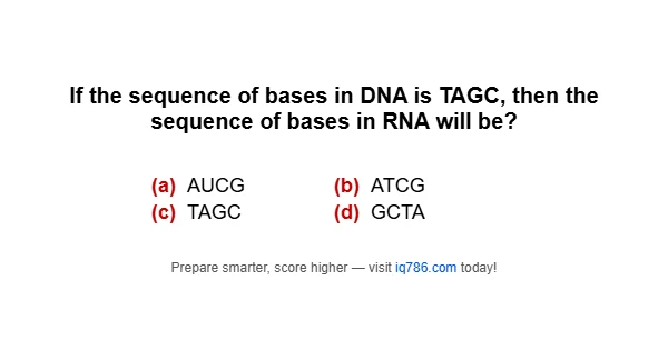 If the sequence of bases in DNA is TAGC, then the sequence of bases in RNA will be?