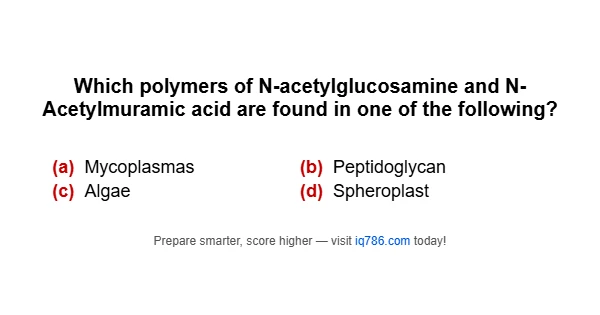 Which polymers of N-acetylglucosamine and N- Acetylmuramic acid are found in one of the following?