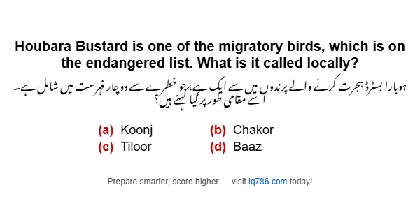 Houbara Bustard is one of the migratory birds, which is on the endangered list. What is it called locally?