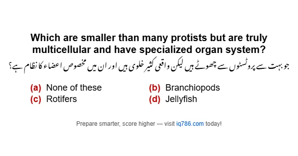 Which are smaller than many protists but are truly multicellular and have specialized organ system?