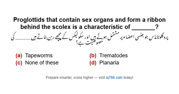 Proglottids that contain sex organs and form a ribbon behind the scolex is a characteristic of _______?