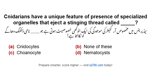 Cnidarians have a unique feature of presence of specialized organelles that eject a stinging thread called _____?