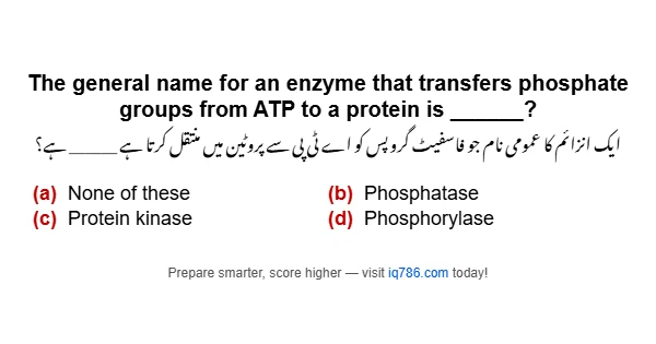 The general name for an enzyme that transfers phosphate groups from ATP to a protein is ______?