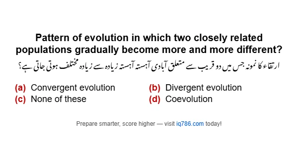 Pattern of evolution in which two closely related populations gradually become more and more different?