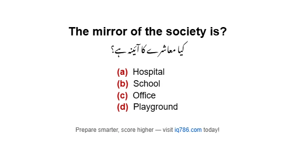 The mirror of the society is?