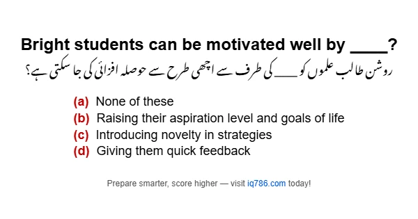 Bright students can be motivated well by ____?